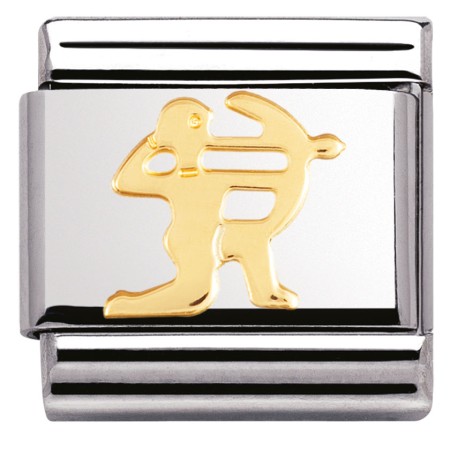 Znak zodiaku "Strzelec"