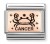 430112/04 Rak Rose Gold (Cancer)