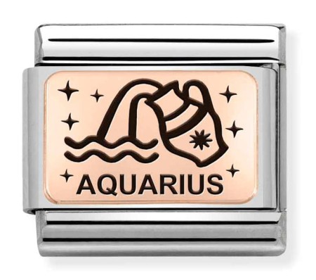 430112/11 Wodnik Rose Gold (Aquarius)