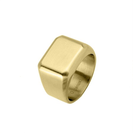 Sygnet męski Manoki złoty PA166S